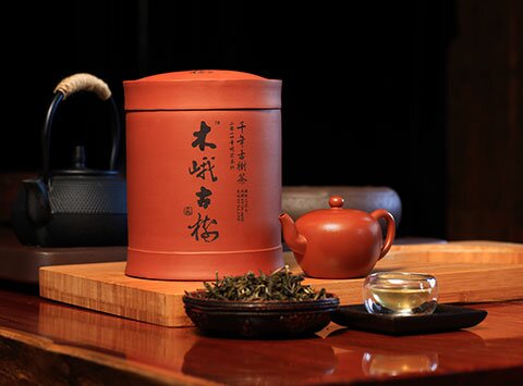 木峨古树